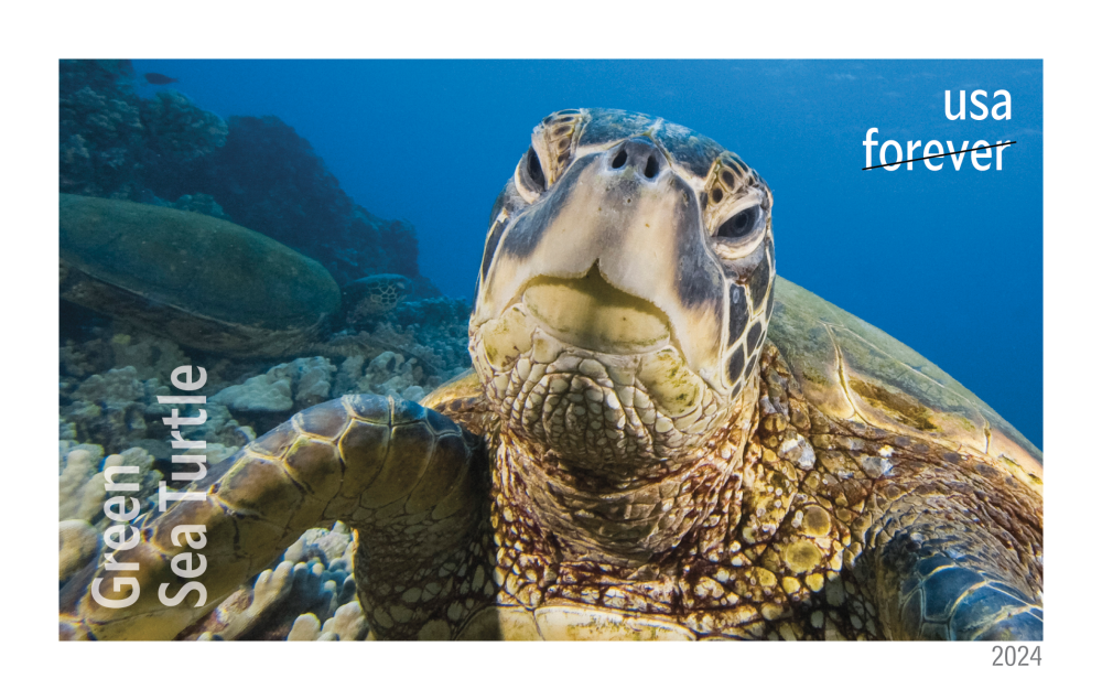 2024 Protect Sea Turtles Stamps