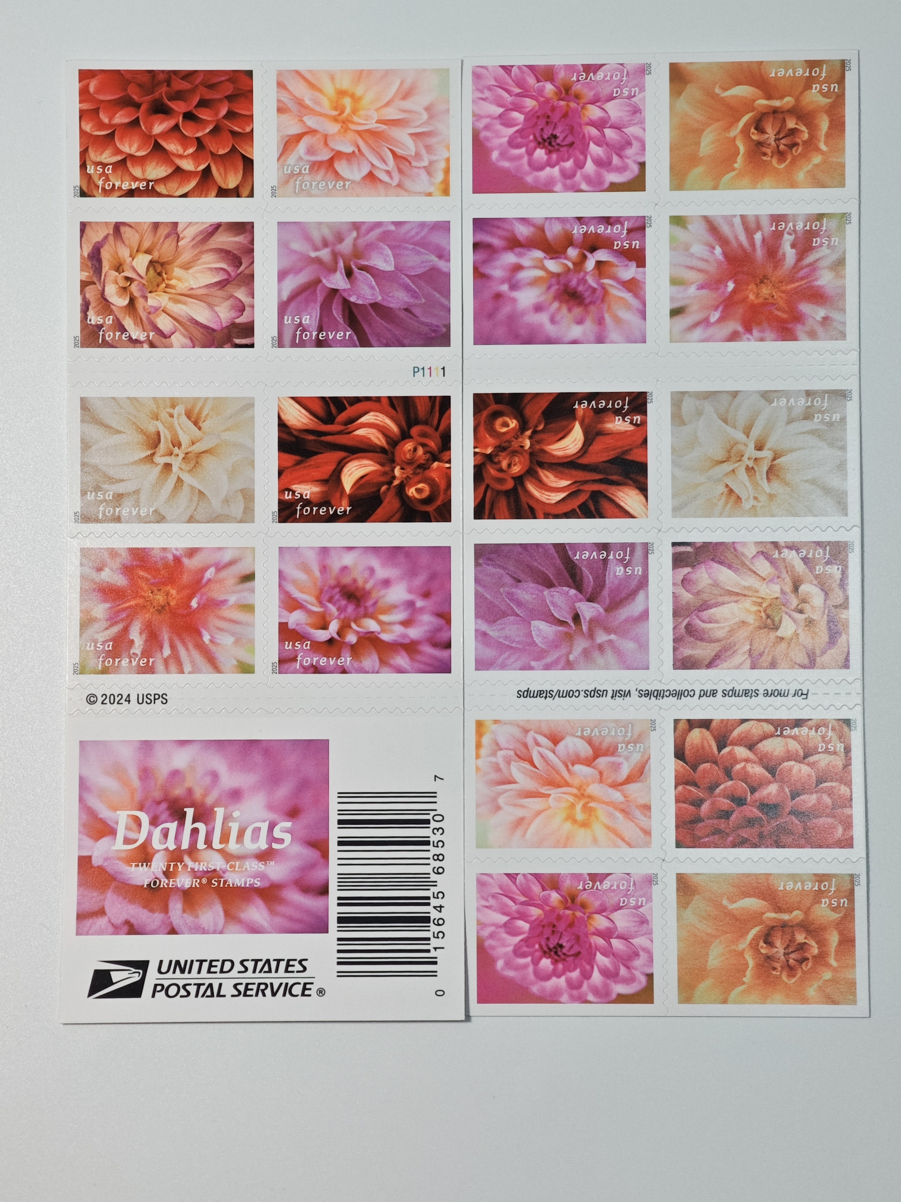2025 Forever Stamps Dahlias Stamps