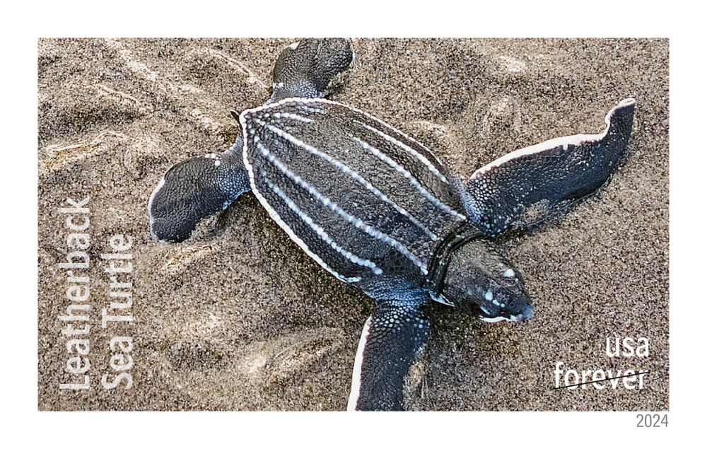 2024 Protect Sea Turtles Stamps