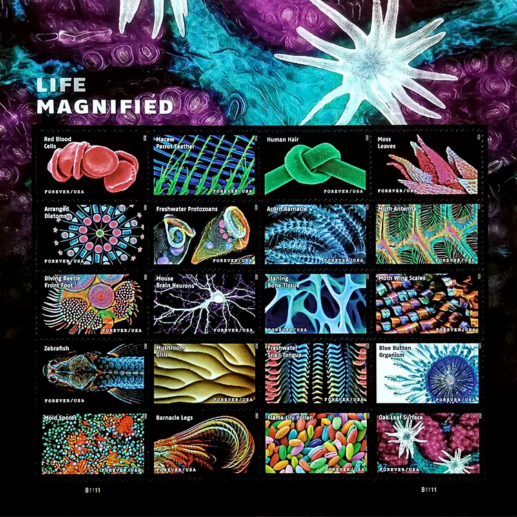 2023 Life Magnified Stamps